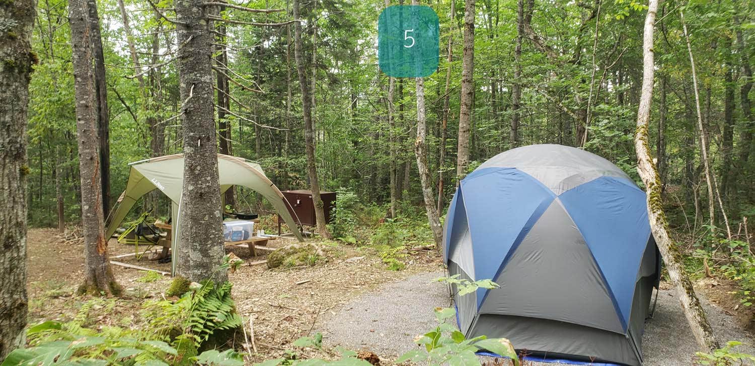 Camper submitted image from Lunksoos Campground — Katahdin Woods And Waters National Monument - 5