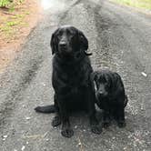 Review photo of Clifty Falls State Park Campground by Sam M., September 1, 2021