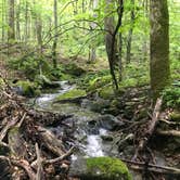 Review photo of Clifty Falls State Park Campground by Sam M., September 1, 2021