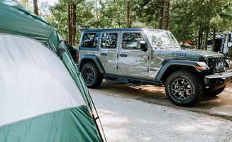 Shanice C.'s photo at Bolding Mill near Gainesville, GA