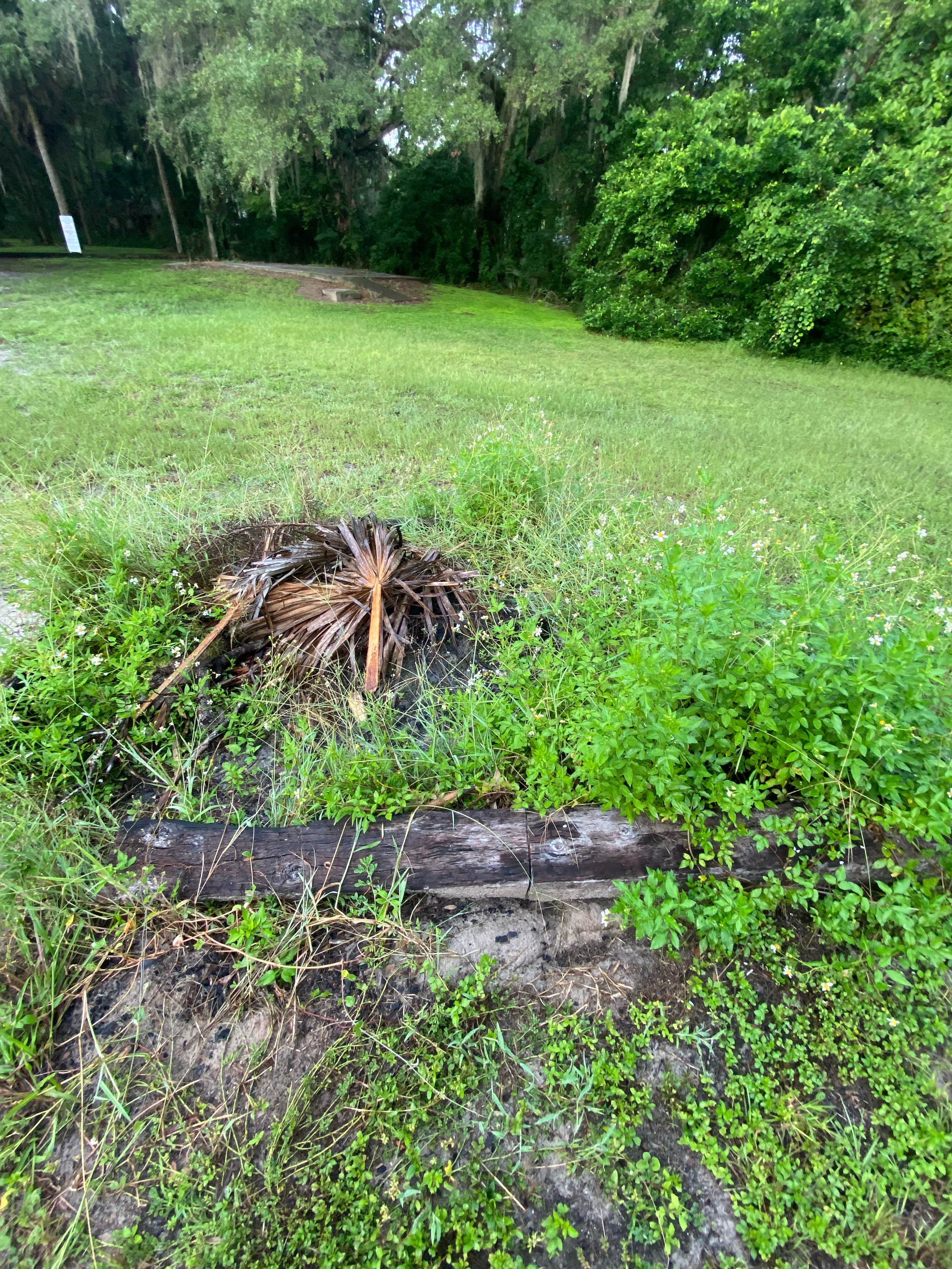Camper-submitted photo at Weeki Wachee Christian Camp near Weeki Wachee, FL