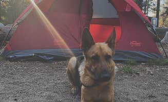 Ronnie R.'s photo of camping with pets at Hanna Flat Campground near Blue Jay, CA