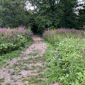 Review photo of HTR Niagara Campground by Ashley H., August 30, 2021