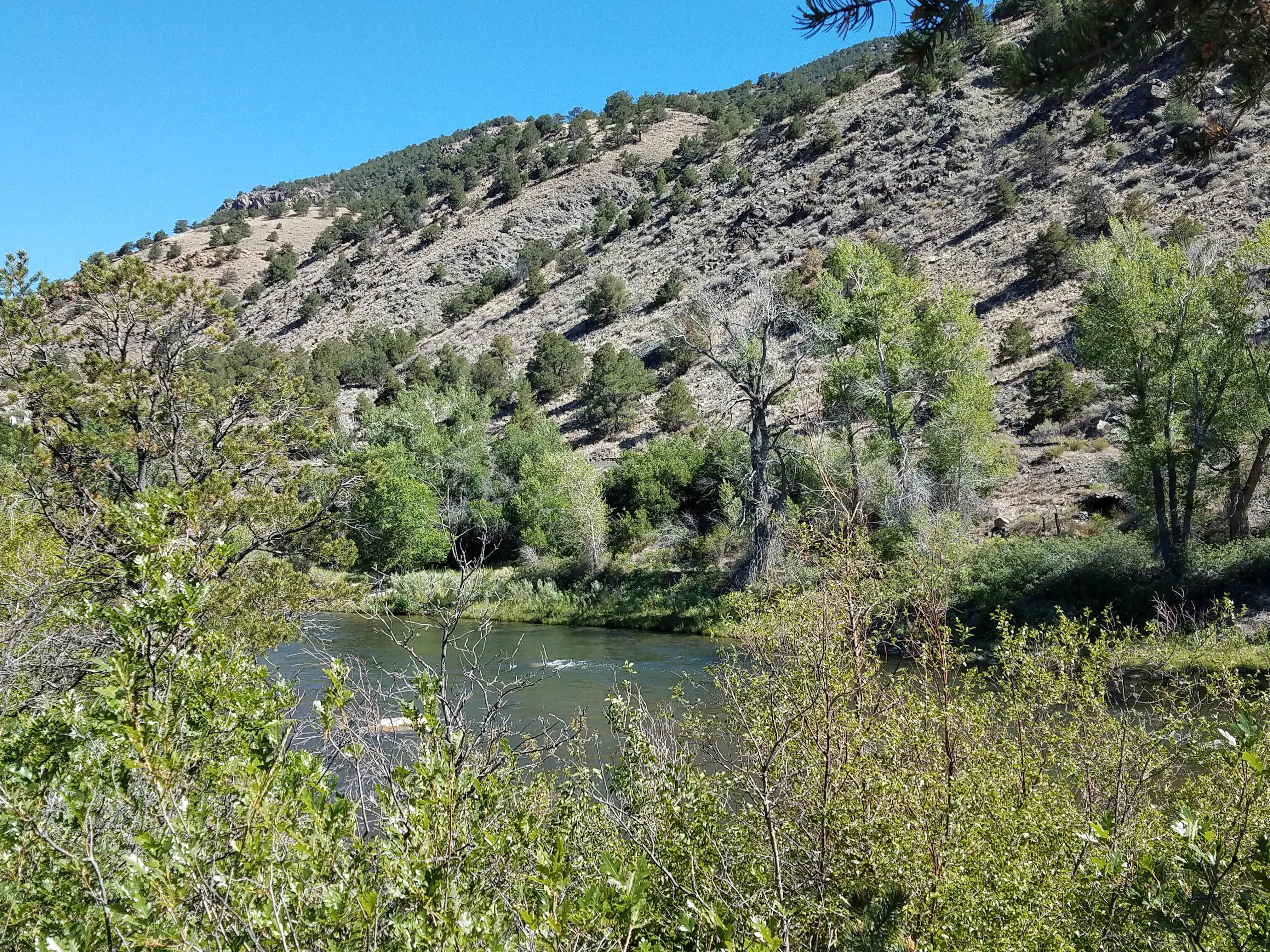 Camper submitted image from Salida East - Arkansas Headwaters Recreation Area - 2