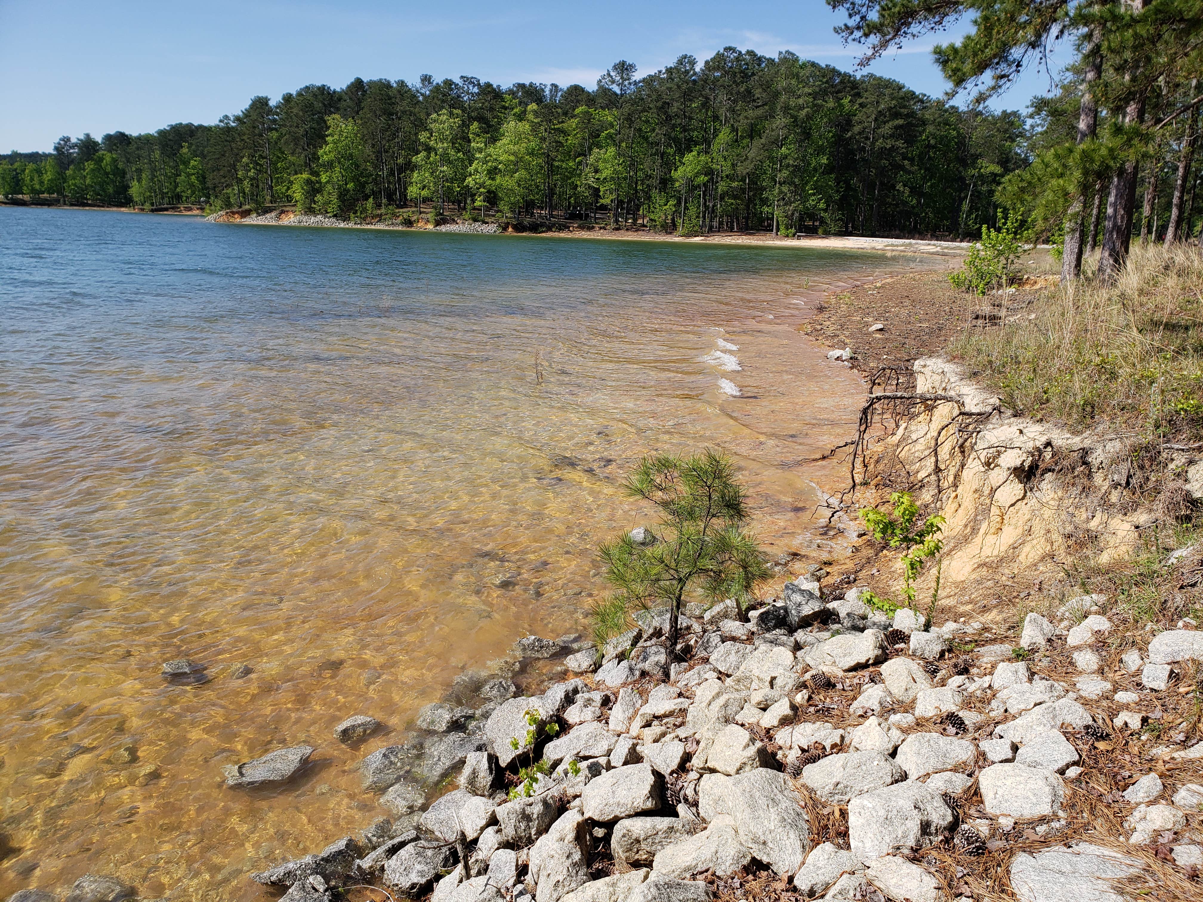 Camper submitted image from Wildwood County Park - 2