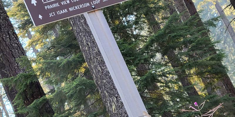 Camper submitted image from Ikenick Sno-Park