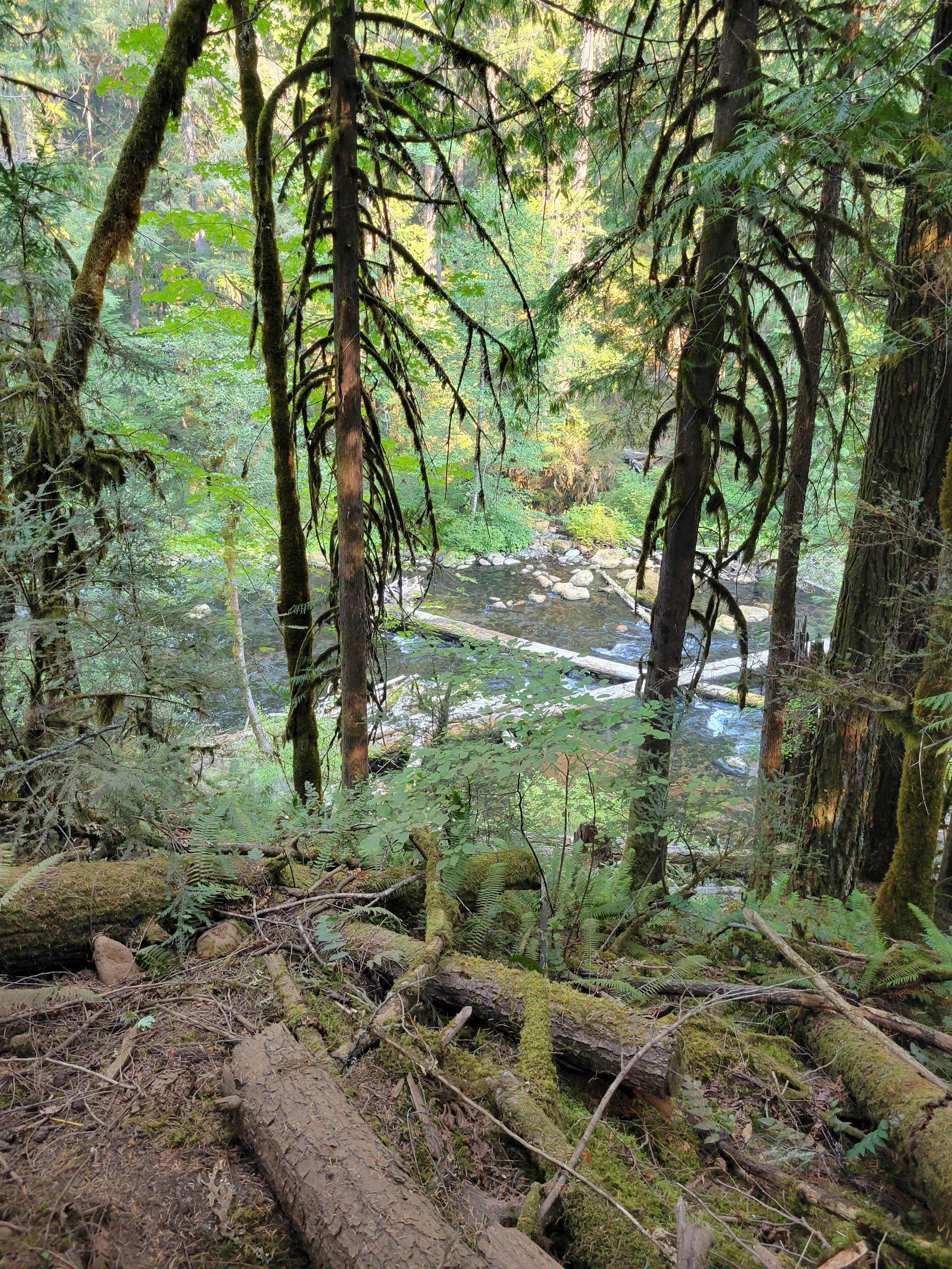 Camper-submitted photo at Ikenick Sno-Park near Foster Lake