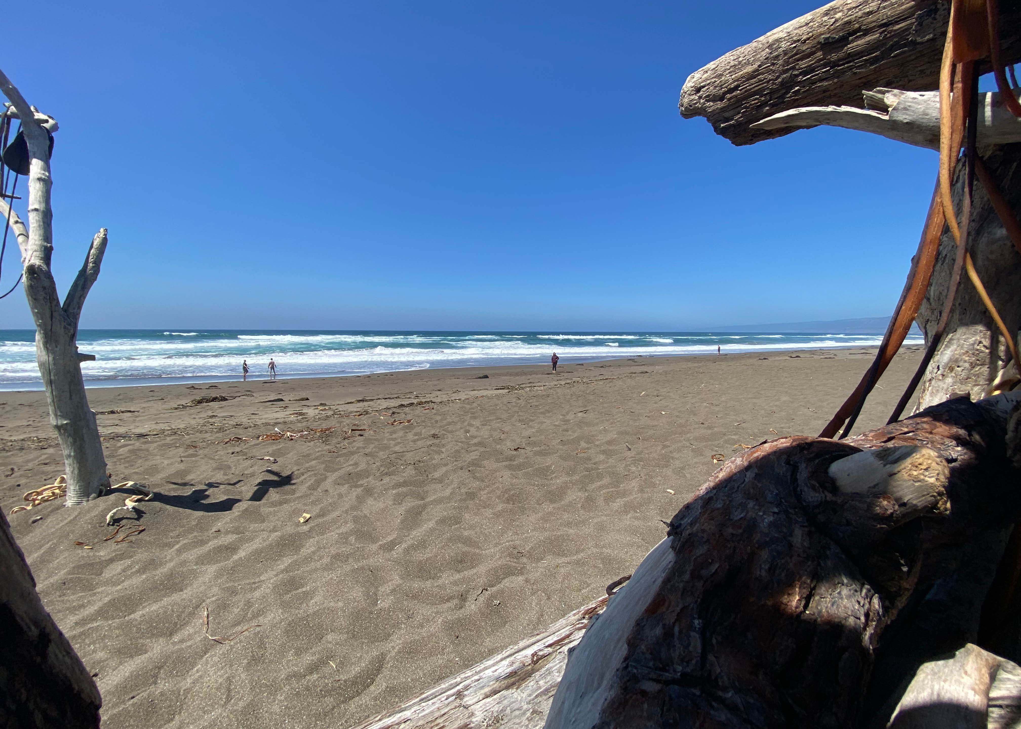 Manchester State Park Camping The Dyrt