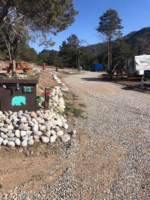 Camper-submitted photo at Black Bear Retreat near Hillside, CO