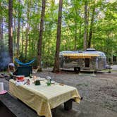 Review photo of Roan Mountain State Park Campground by Jessica L., September 1, 2021