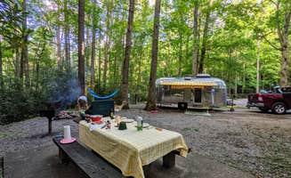 Jessica L.'s photo at Roan Mountain State Park Campground near Bakersville, NC