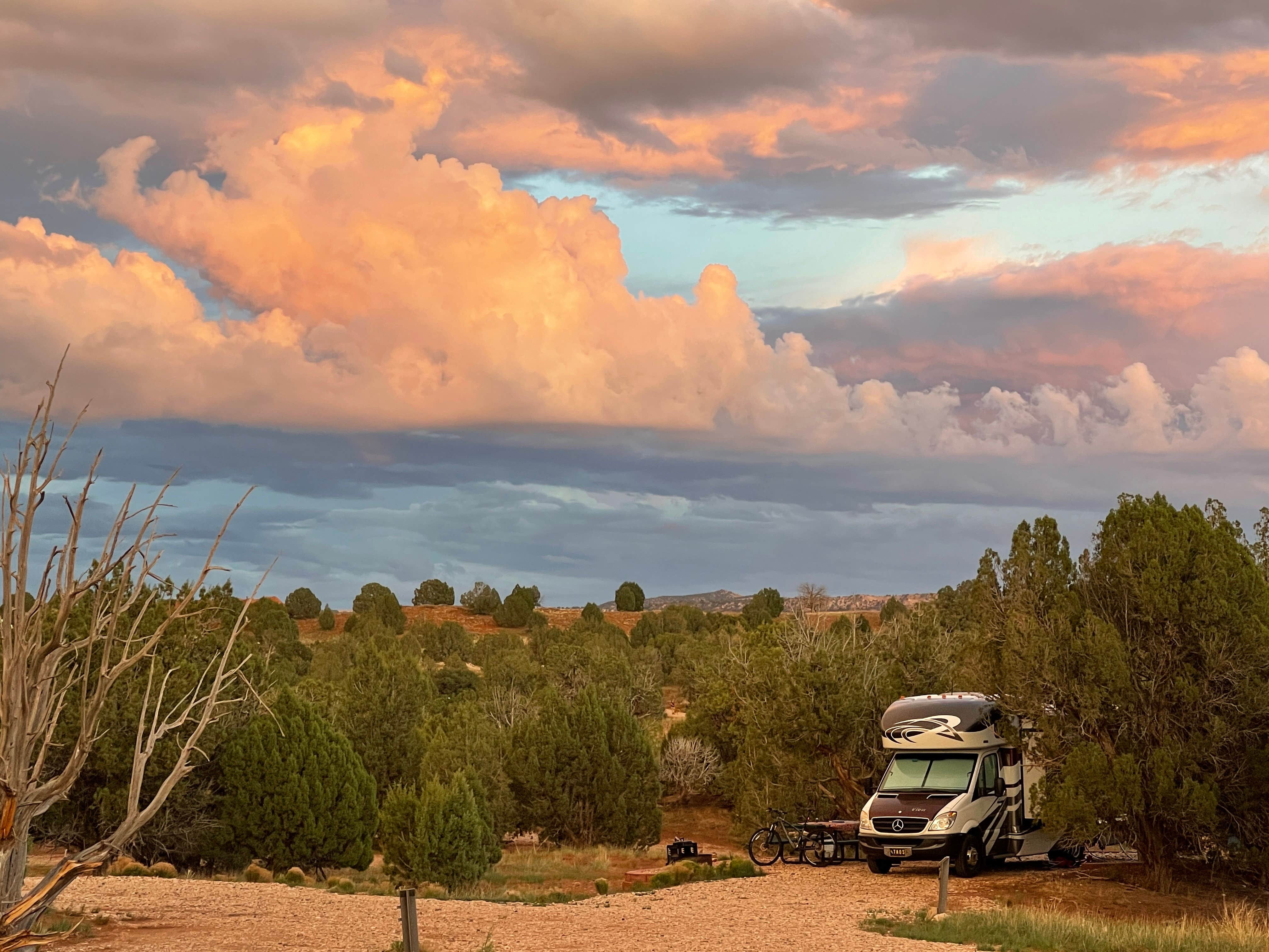 Best standard camping in Dixie National Forest The Dyrt