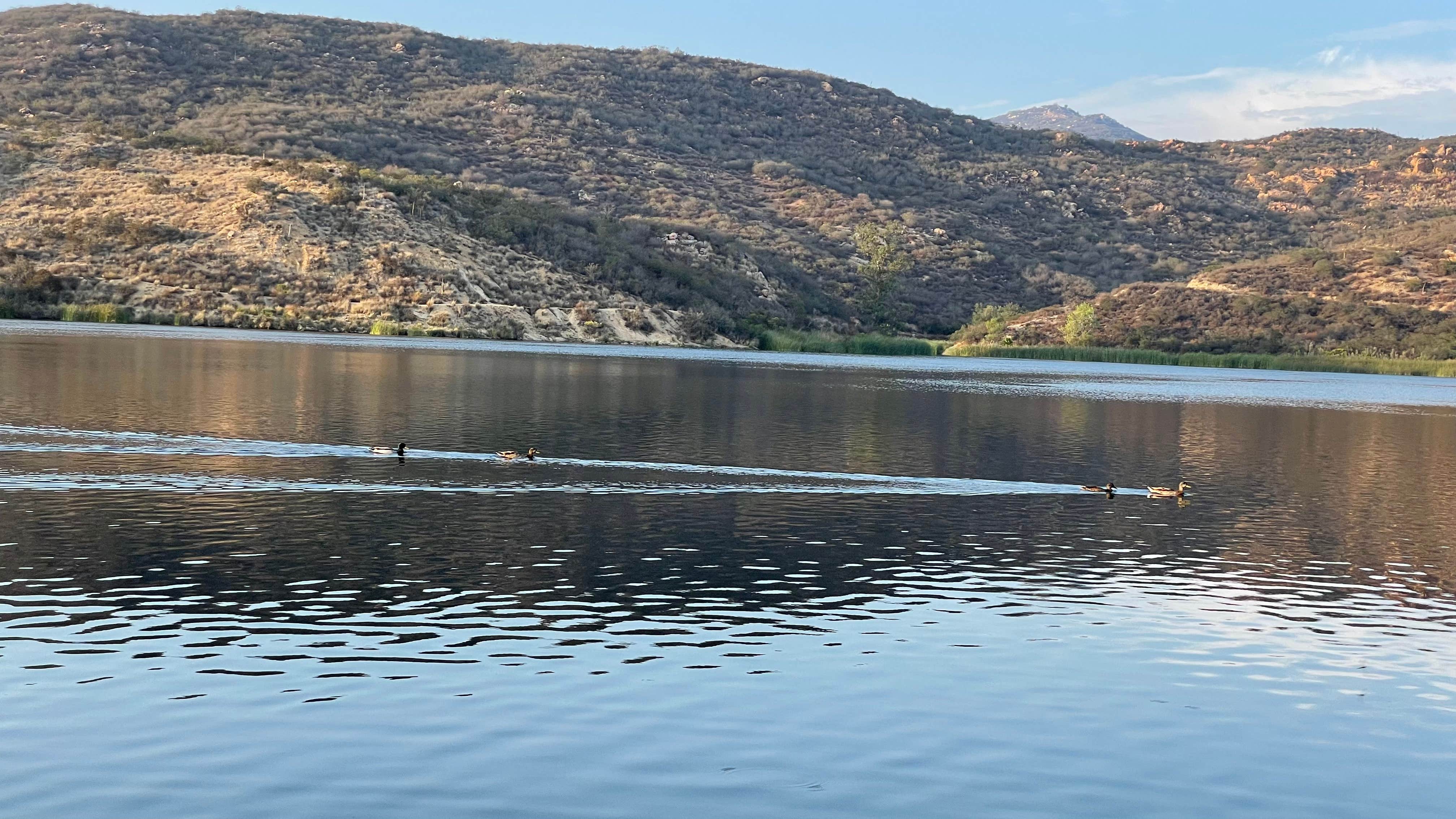 Dixon Lake Campground The Dyrt