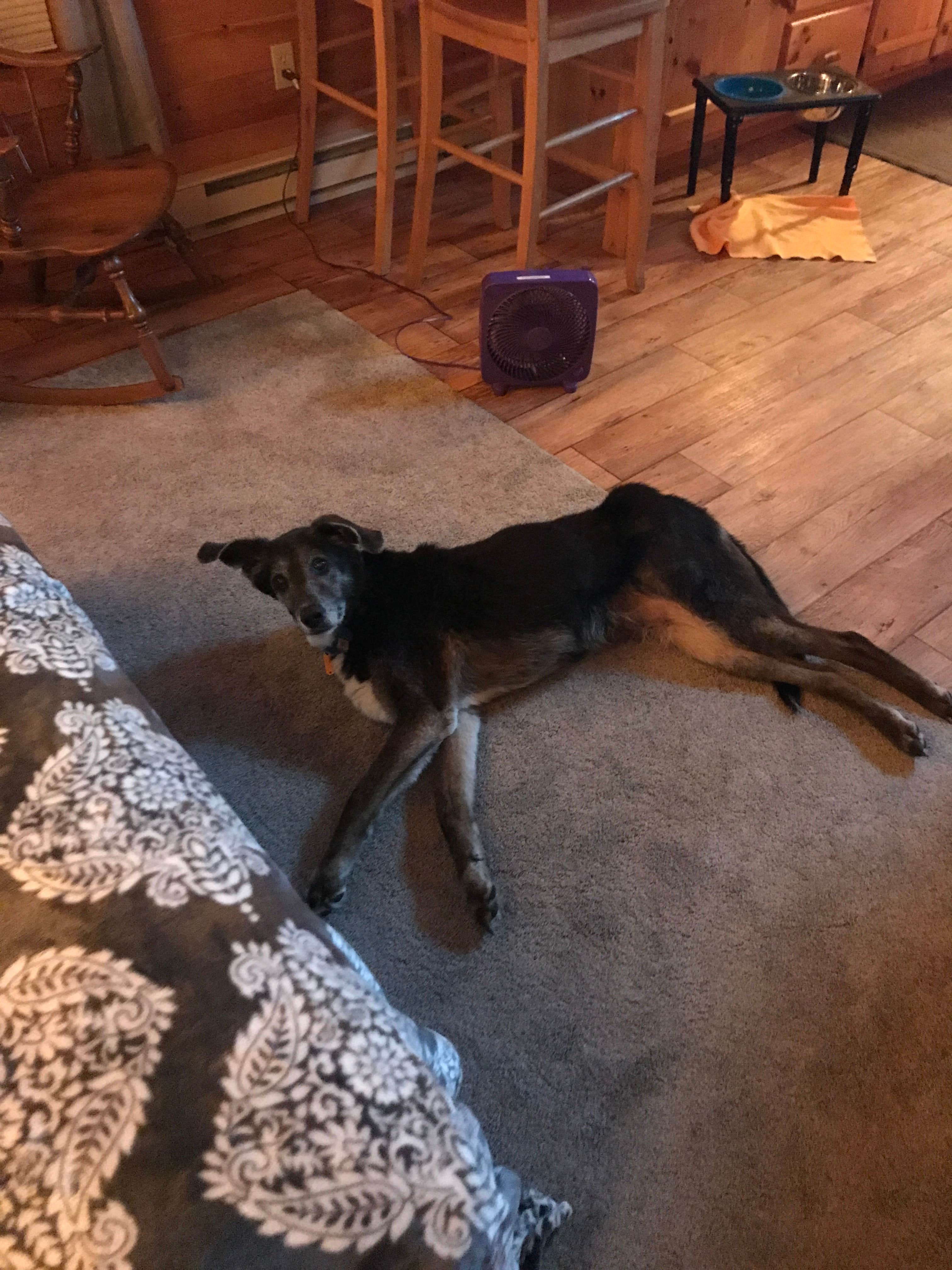 Camper-submitted photo at Bodnarosa Campground near Freeland, PA