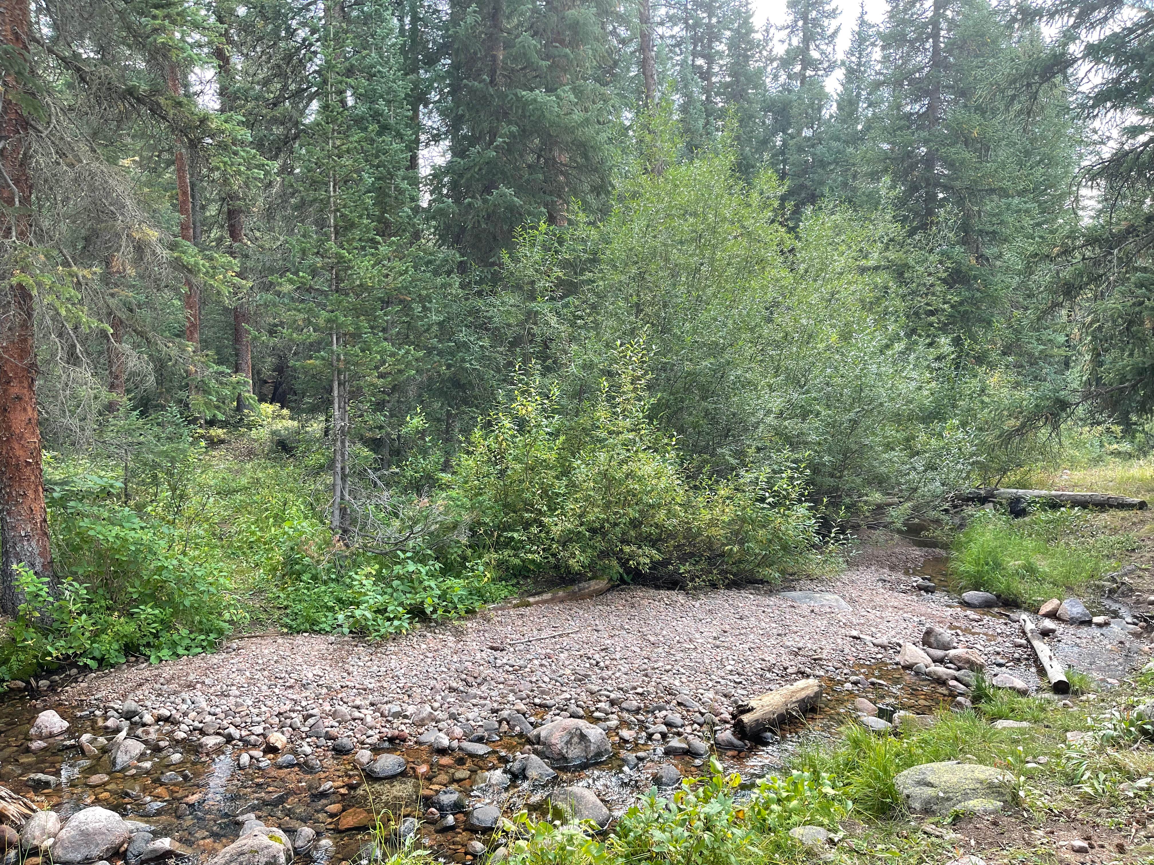 Camper submitted image from Red Sandstone - Primitive Dispersed - 3