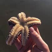 Review photo of Jalama Beach County Park by Ken K., June 23, 2018