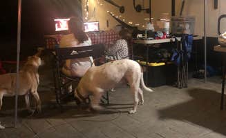 Carrie M.'s photo of camping with pets at Watkins Glen / Corning KOA near Tioga-Hammond Lakes