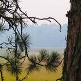 Review photo of Schoolcraft State Park Campground by MARY K., September 2, 2021