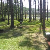 Review photo of Sand Pond Campground - Pine Log State Forest by colleen , September 2, 2021