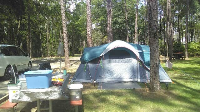 colleen's photo at Sand Pond Campground — Pine Log State Forest near Panama City, FL