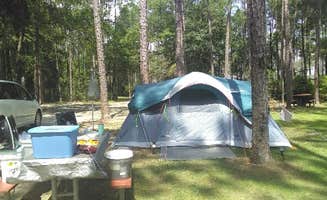 colleen's photo at Sand Pond Campground — Pine Log State Forest near Panama City, FL