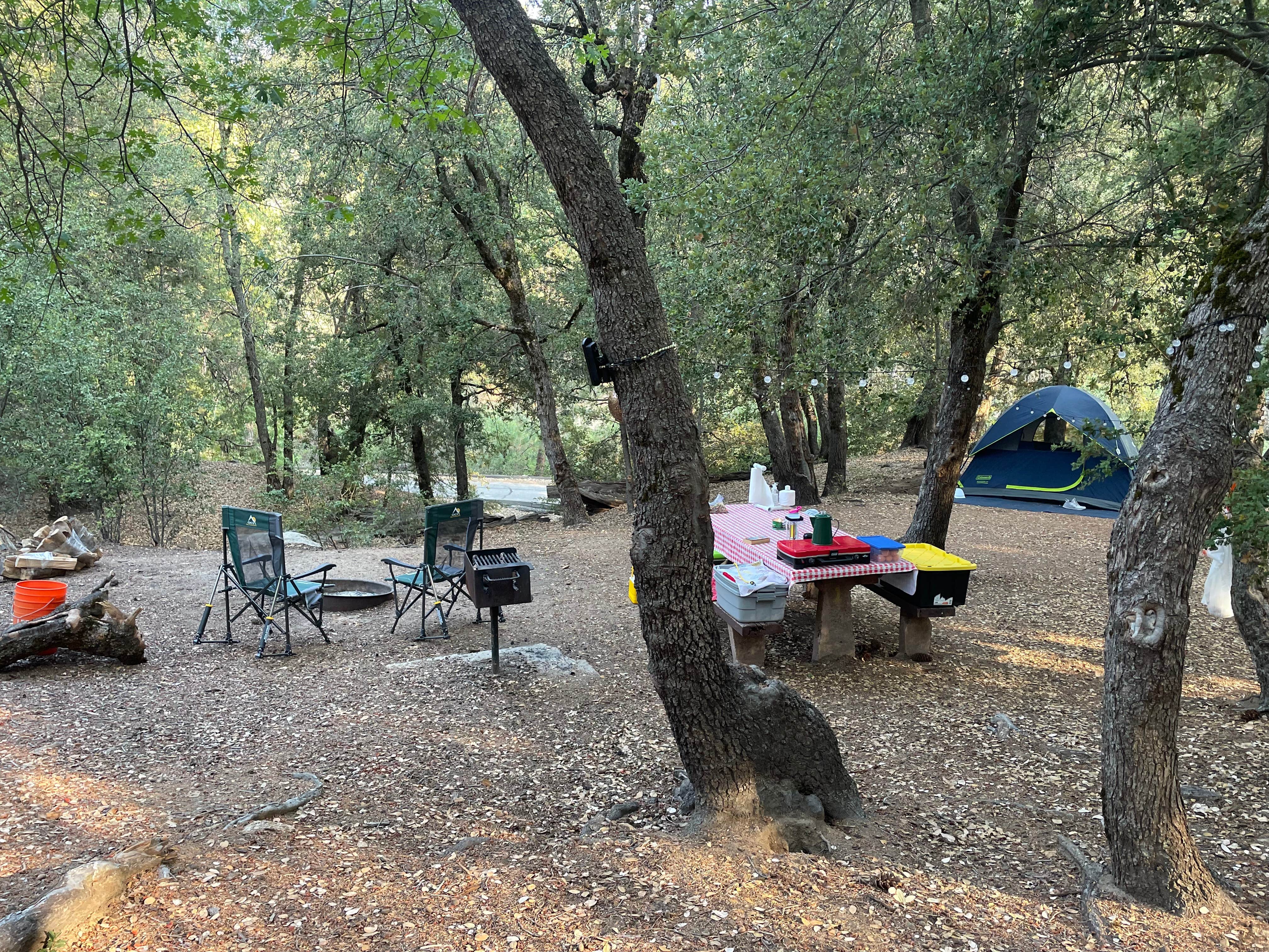 Kylie G.'s photo at Fry Creek Campground near Aguanga, CA