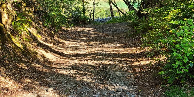 Camper submitted image from Butler Bar Campground