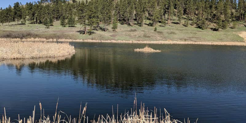 Camper submitted image from Blacks Pond Campground