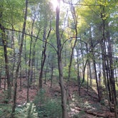 Review photo of Mill Bluff State Park Campground by Jeff H., September 2, 2021