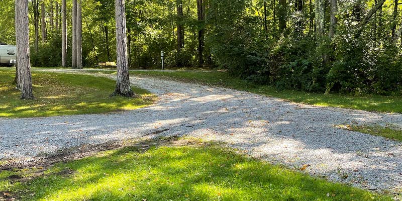 Camper submitted image from Dorset RV Park