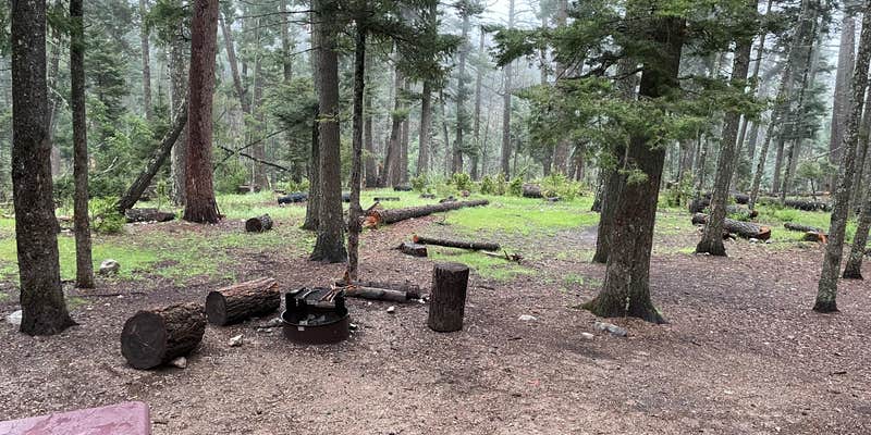 Camper submitted image from Apache Campground — Lincoln National Forest