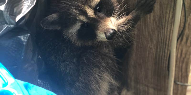 Camper submitted image from Chushons Peak Campground