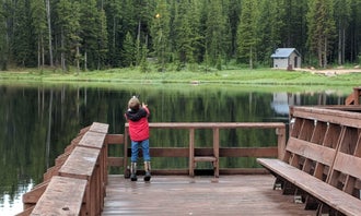 Camping near Bear Lodge Resort: Sibley Lake, Wolf, Wyoming