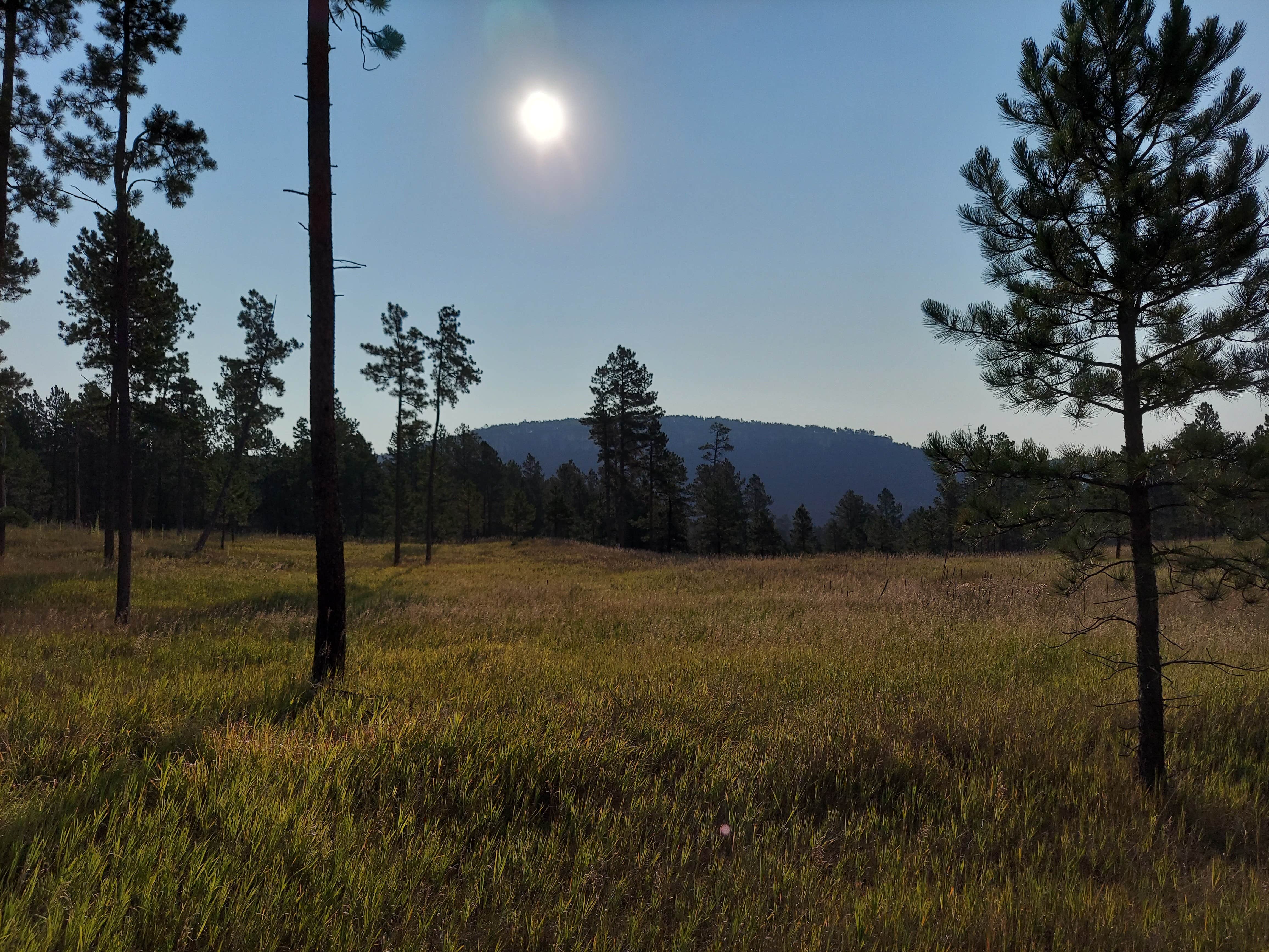 Camper-submitted photo at West Nemo - Dispersed Camping near Deadwood, SD