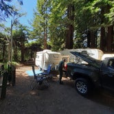 Review photo of Emerald Forest Cabins & RV by Cynthia K., September 2, 2021