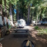Review photo of Emerald Forest Cabins & RV by Cynthia K., September 2, 2021
