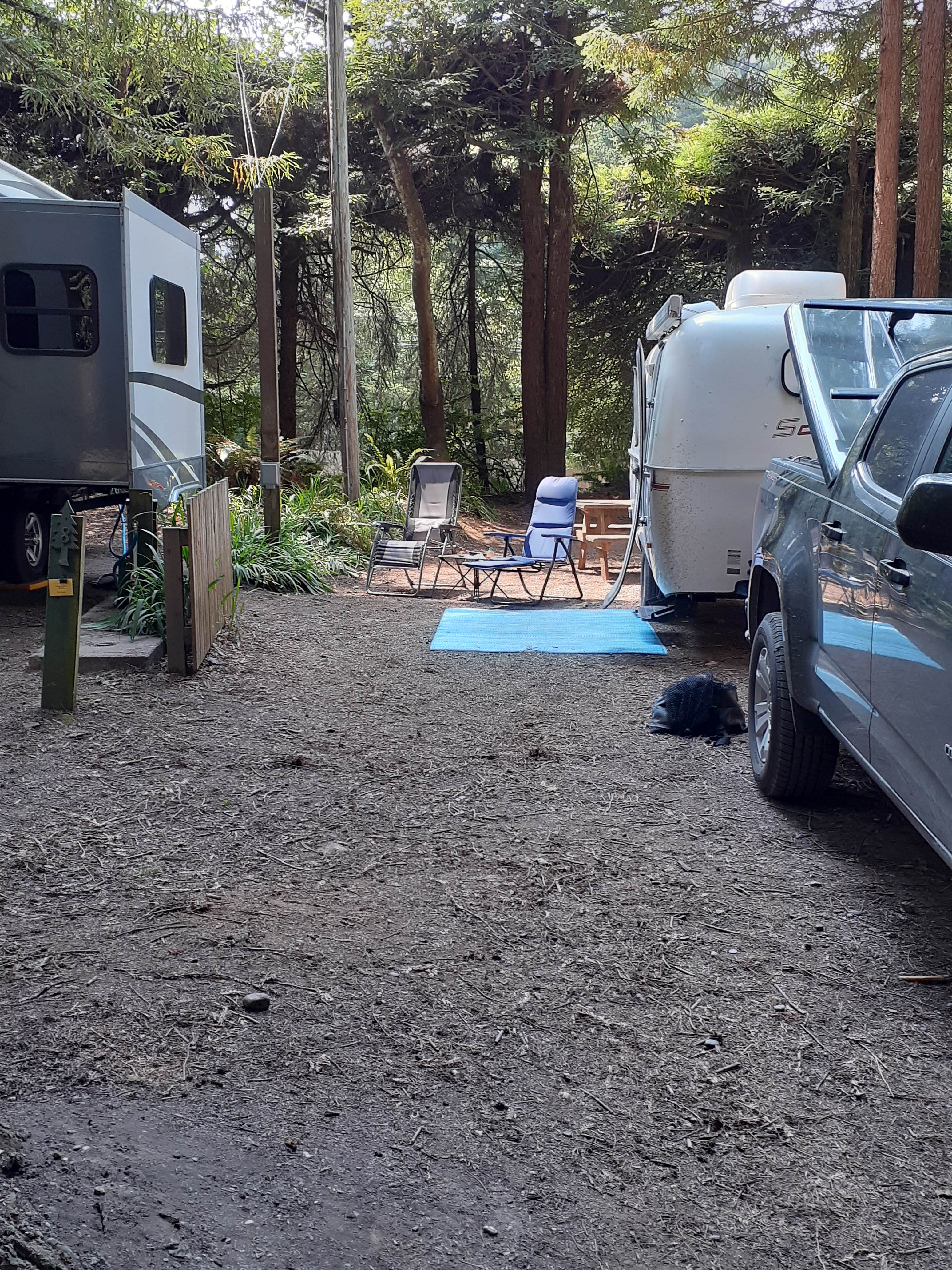 Cynthia K.'s photo at Emerald Forest Cabins & RV near Fields Landing, CA