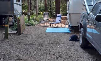 Cynthia K.'s photo at Emerald Forest Cabins & RV near Trinidad, CA
