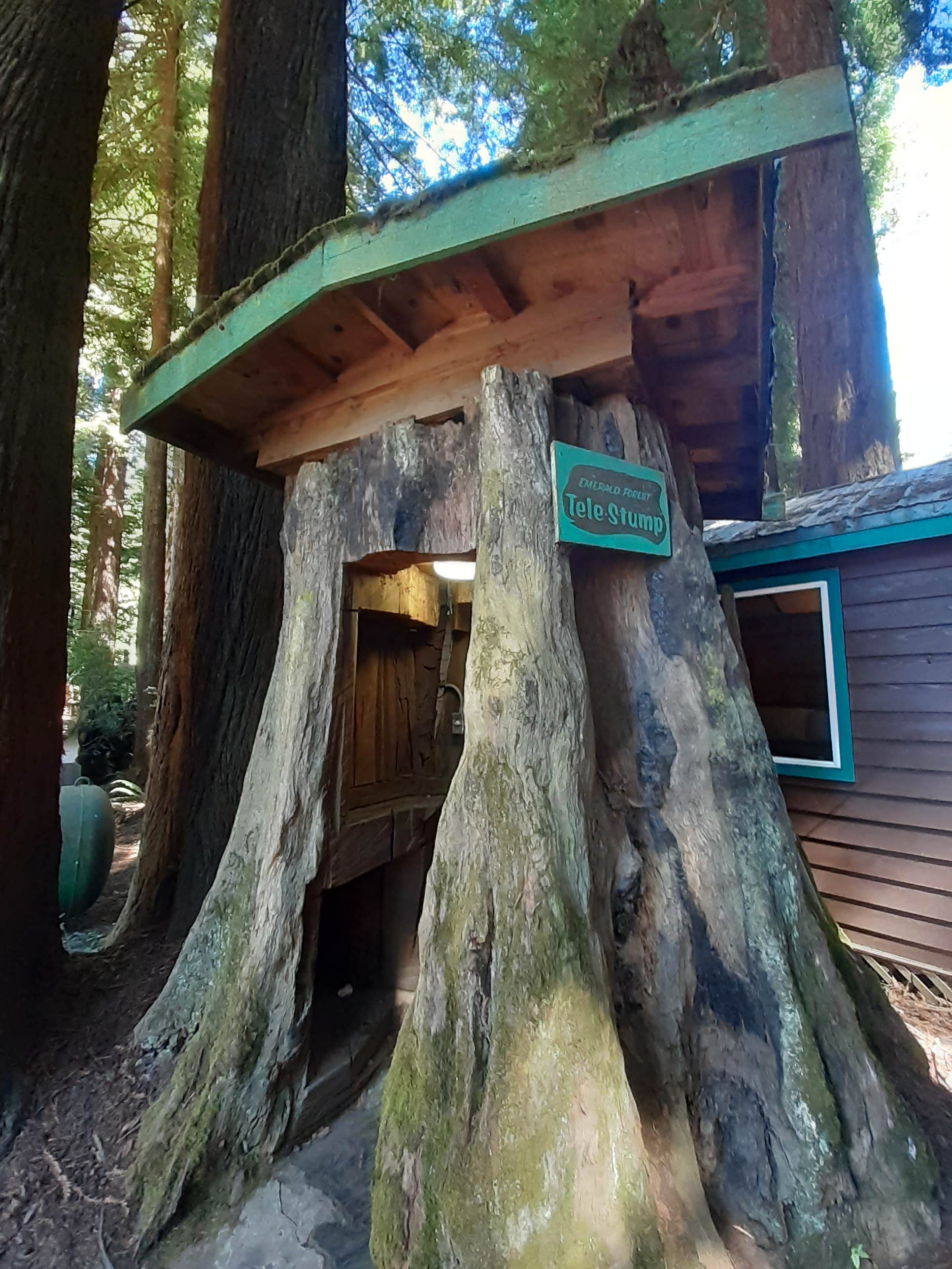 Cynthia K.'s photo of a cabin at Emerald Forest Cabins & RV near Loleta, CA