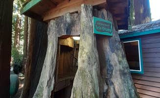 Cynthia K.'s photo of a cabin at Emerald Forest Cabins & RV near Orick, CA