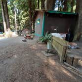 Review photo of Emerald Forest Cabins & RV by Cynthia K., September 2, 2021