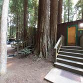 Review photo of Emerald Forest Cabins & RV by Cynthia K., September 2, 2021