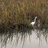 Review photo of Huntington Beach State Park Campground by Joe F., September 2, 2021