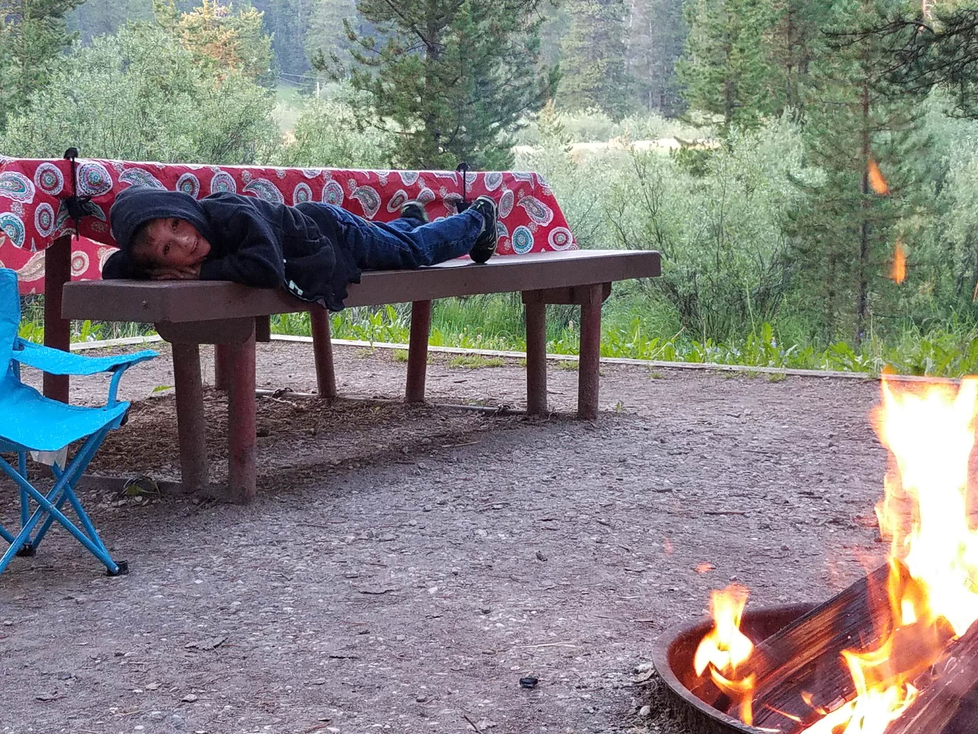 Camper submitted image from Prune Creek - 2