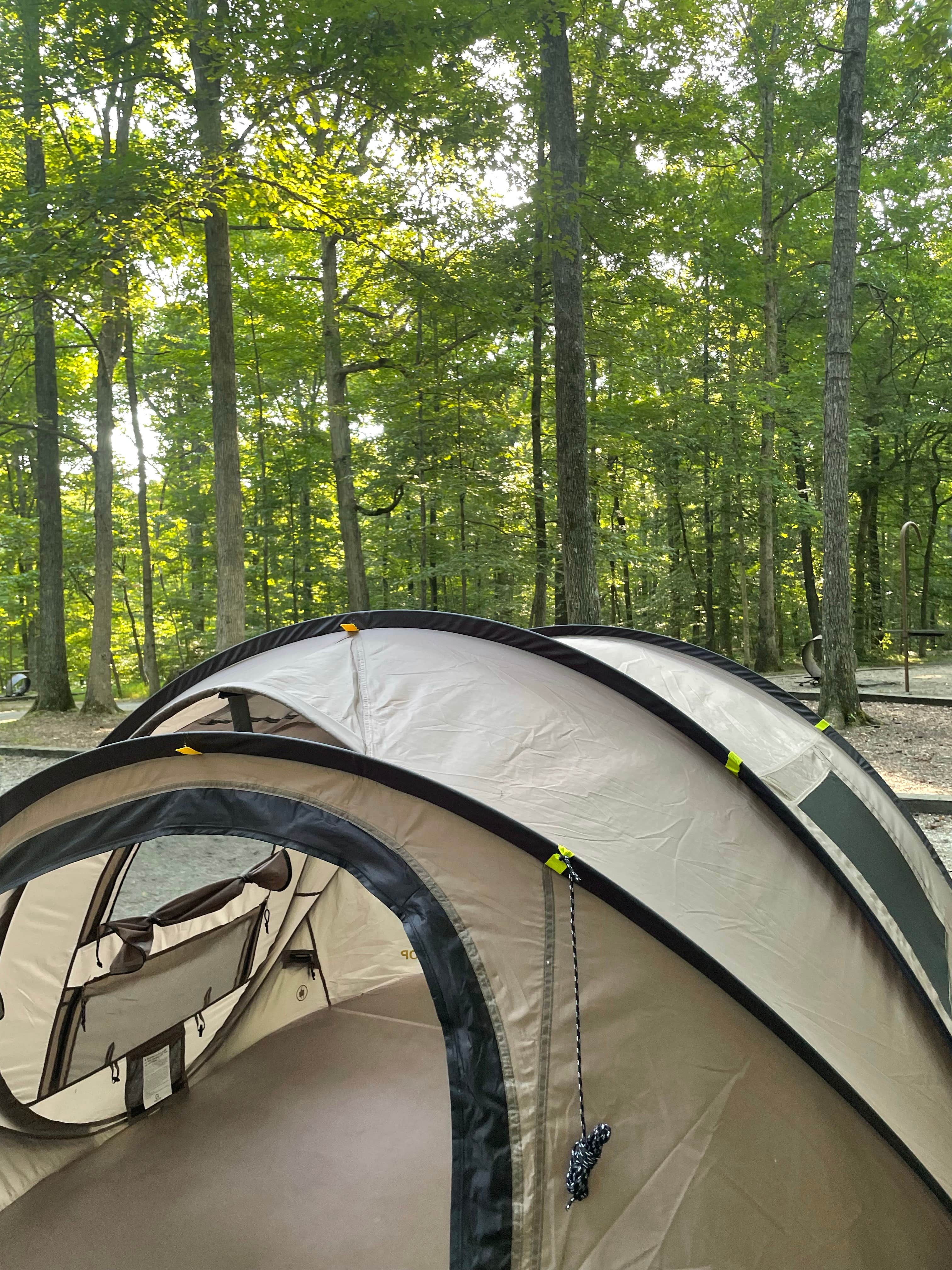 Alejandra E.'s photo at Mammoth Cave Campground — Mammoth Cave National Park near Barren River Lake