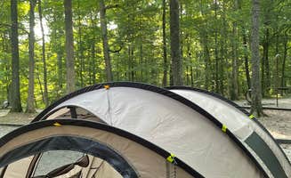 Alejandra E.'s photo at Mammoth Cave Campground — Mammoth Cave National Park near Barren River Lake