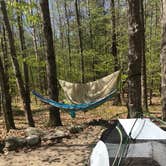 Review photo of Bradbury Mountain State Park Campground by angie S., June 23, 2018