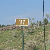 Review photo of Tom Best Spring Road FR117 Dispersed - Dixie National Forest by Greg L., September 3, 2021