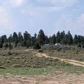 Review photo of Tom Best Spring Road FR117 Dispersed - Dixie National Forest by Greg L., September 3, 2021