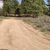 Review photo of Tom Best Spring Road FR117 Dispersed - Dixie National Forest by Greg L., September 3, 2021